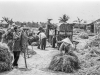 2eme prix Rural-Paul EVIN Apres la recolte du riz